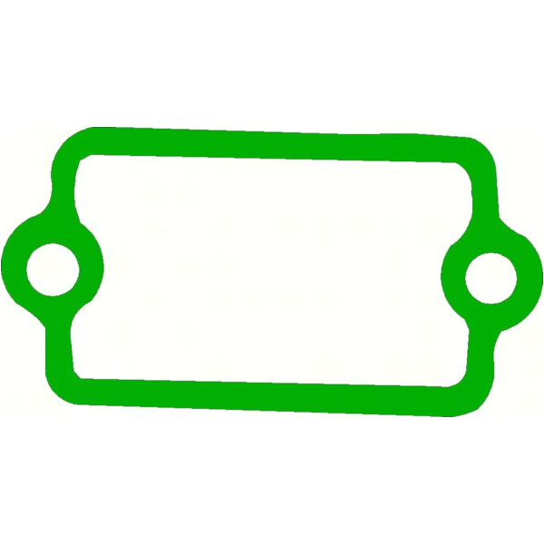 right Governer gasket compare no. 11060-1186