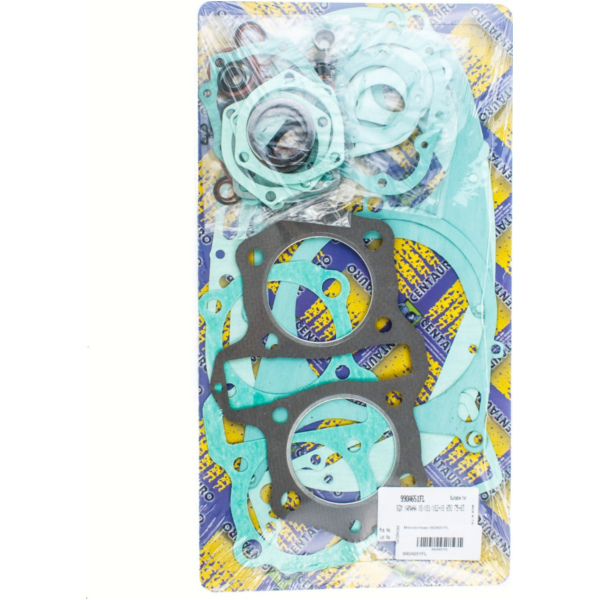 Motordichtsatz 990A651FL