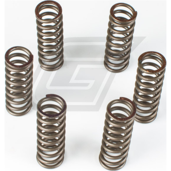 Premium clutch spring kit CSK037