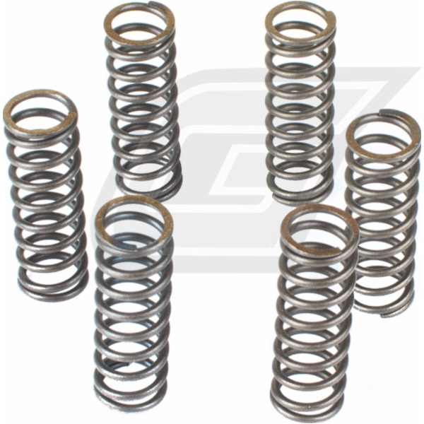 Premium clutch spring kit CSK043