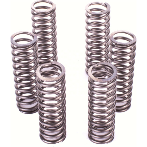 Premium Kupplungsfedern-Kit CSK126