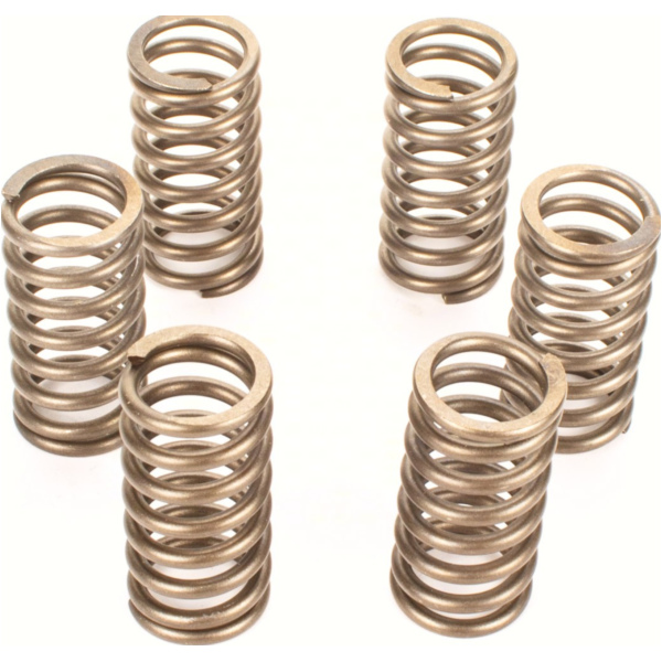 Premium clutch spring kit CSK136