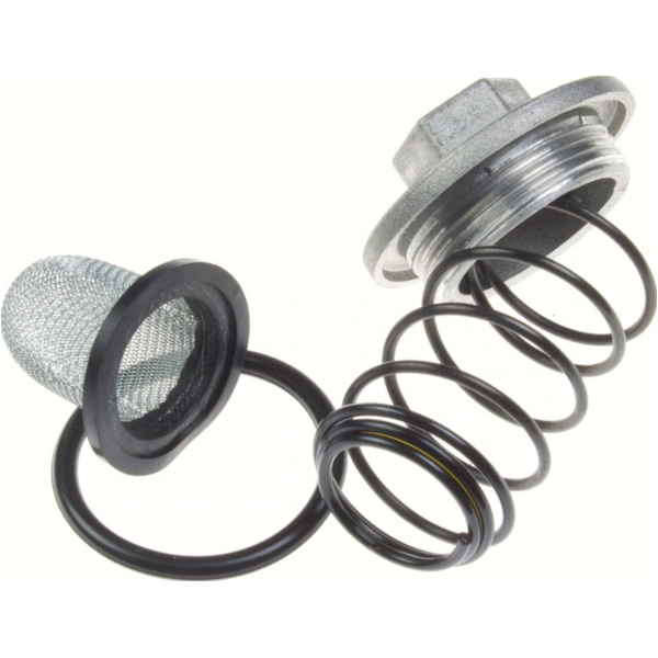 Oil filter set - incl. Outlet screw, o-ring, and spring fitting for Benzhou YY50QT-25A Retro Sport 50  2009, 3 PS, 2,2 kw