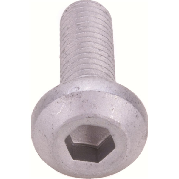 Screw for brake disc hexagon socket M8x1,25 16mm (original) fitting for Yamaha XVS Drag Star 650 VM032 2001, 34 PS, 25 kw