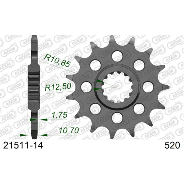 Front Sprocket AFAM 520 - 13t 2130913