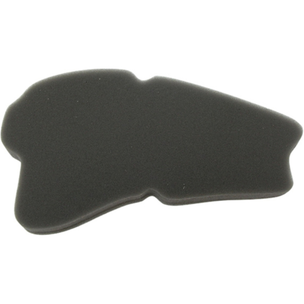 Luftfilter MIW SY25103 für Sym Mio 50 (06-07)-Mio 100/EURO 2/3 (06-