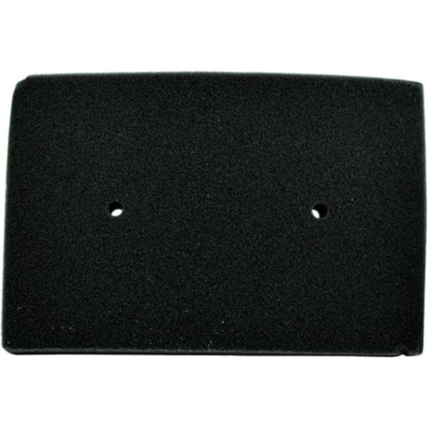Luftfilter MIW K2167 für Kawasaki EX250/300 Ninja (08-)