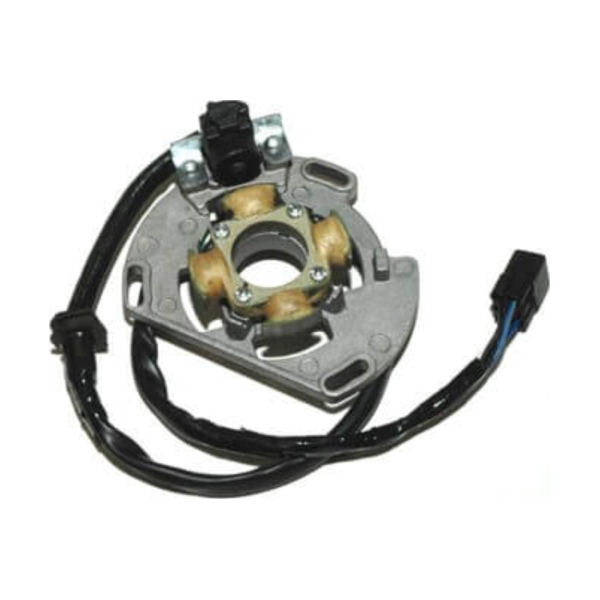 ElectroSport Stator ESC221 für Lichtmaschine