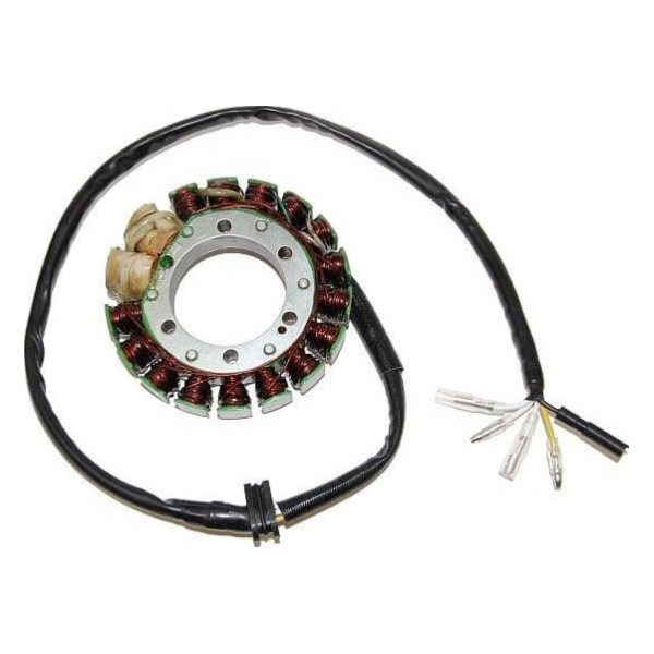 ElectroSport Stator ESG413 for alternator