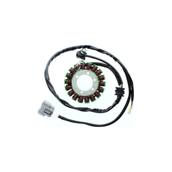 ElectroSport Stator ESG509 for alternator