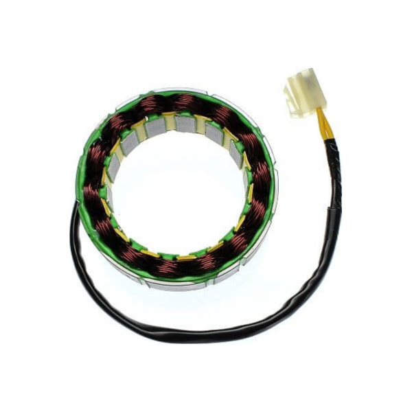 ElectroSport Stator ESG81 für Lichtmaschine