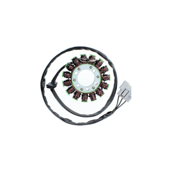 ElectroSport Stator ESG845 for alternator