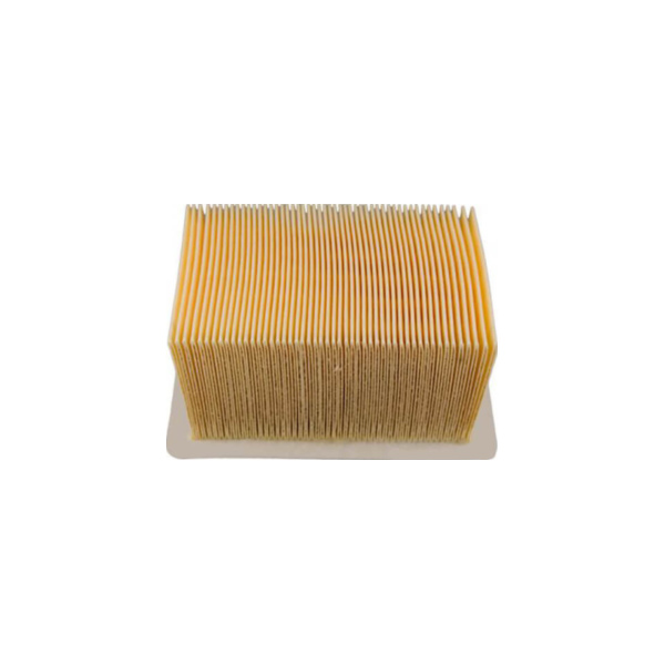 CHAMPION Luftfilter für BMW 474-6911