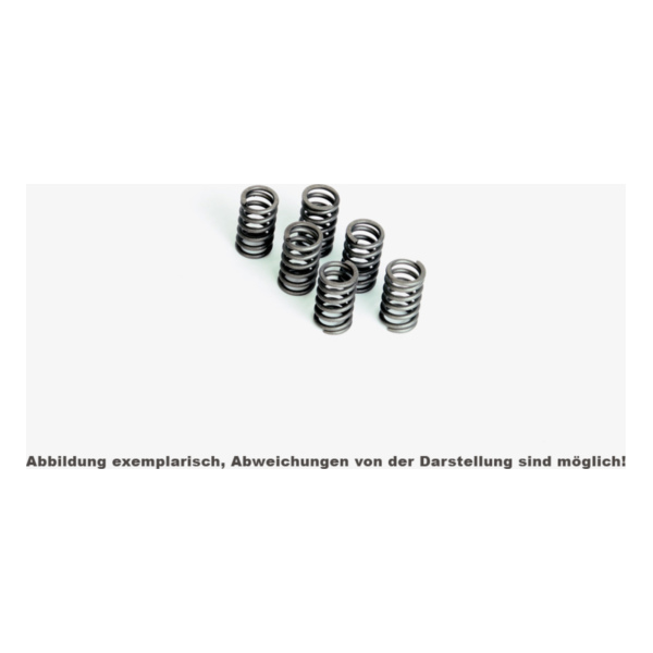 FERODO Kupplungsfedernsatz FSS0215 passend für Yamaha XV Virago 535 2YL 1996, 44 PS, 32 kw