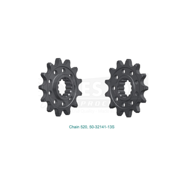 ESJOT Sport sprocket, 13 teeth, steel, 520 pitch fitting for SWM SM  25  2021-2021, 