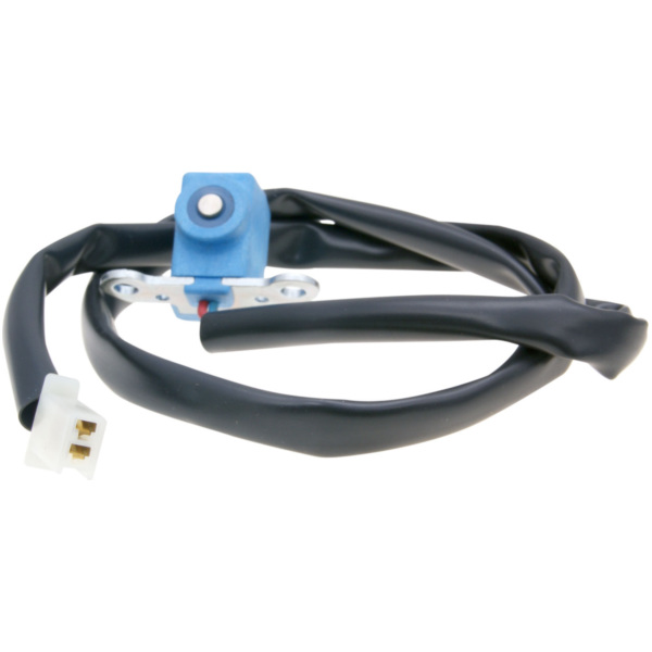 pick-up for Polini Digital ignition for Minarelli, AM6, for: Piaggio LC, D50B0 1 passend für Aprilia RX 6-Gang 50 STA00 2004, 
