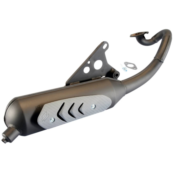 exhaust Polini for Aprilia SR 50, Malaguti F10 (Minarelli engine) 200.0317