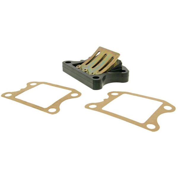 reed valve assy Top Performances racing for Peugeot vertical 21174