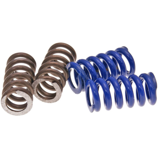 clutch spring kit for Polini Speed ??Clutch 2G EVO2, 2 pair 245.075