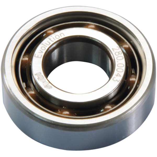 crankshaft bearing Polini Evolution 6204 TN9 C4 for Minarelli 280.0043 fitting for Aprilia RS4 /Replica 50 TK000 2012, 5,4/2,7 PS, 4/2 kw