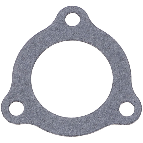 exhaust gasket for Derbi Senda, Aprilia RX, SX, Gilera RCR, SMT 34373 fitting for Rieju Spike  50  2007, 4,8/8,8 PS, 3,5/6,5 kw