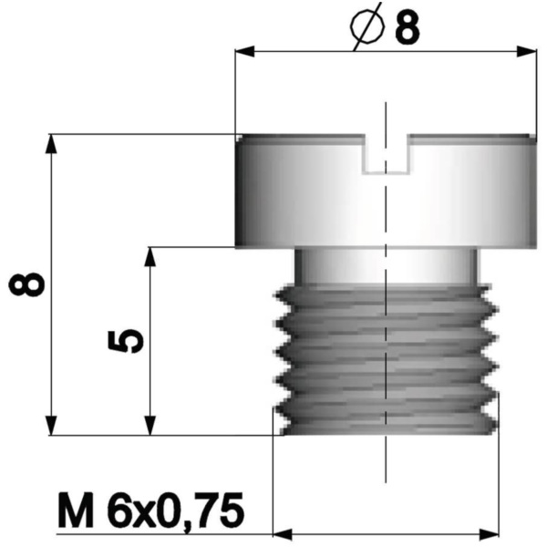 HD Main Jet Vergaser Hauptdüse Polini 6mm für Dellorto Vergaser - 184 362.1184
