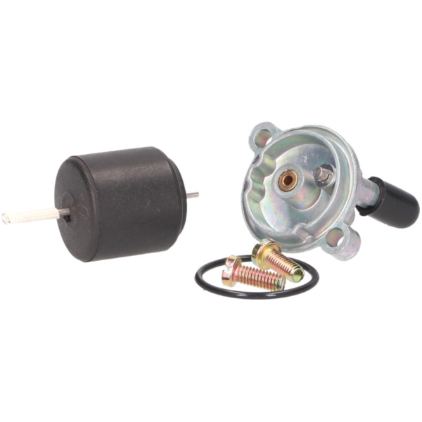 carburetor repair kit for Puch MS 50, MV 50, DS 50 w/ Bing SSE carb 39118