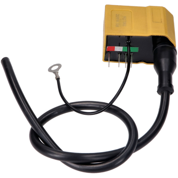 CDI unit w/ ignition coil for Minarelli AM6, for: Derbi Senda (Ducati, Kokusan i passend für Derbi Senda R 50 SENDA H 1997, 