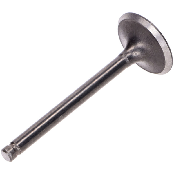 Einlassventil 65x24x5mm für GY6 125ccm 152/157QMI 49523