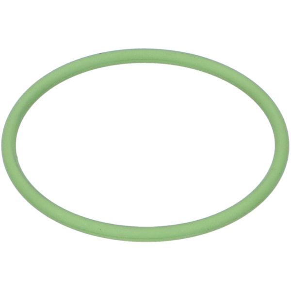 O-Ring Schmitt FPM75 grün für Ansaugstutzen 49605