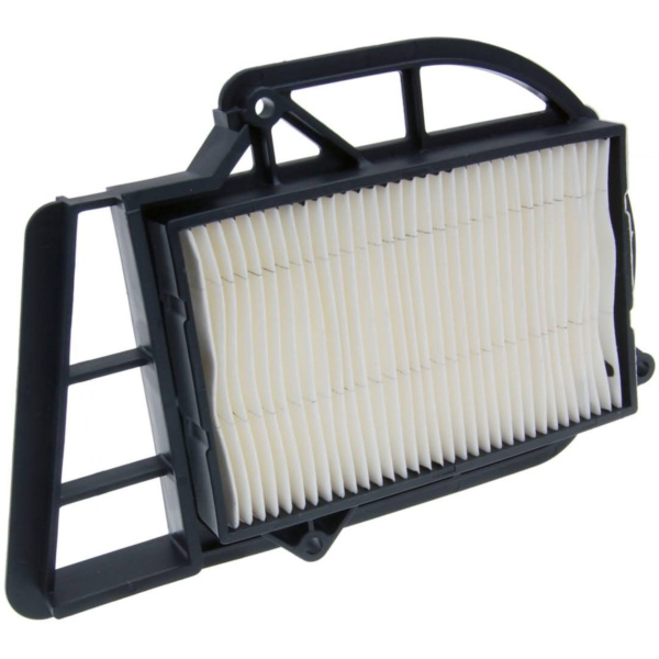 variator air filter for Benelli Velvet, Italjet Jupiter, Malaguti Madison, MBK Skyliner, Yamaha Majesty 250 IP33196