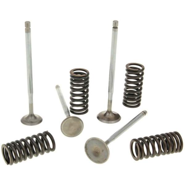 cylinder head valves Malossi racing with springs for Piaggio 4V LC engines M.2714047 fitting for Derbi GP1 RacingLow Seat 125 PS1B1A 2009, 15 PS, 11 kw