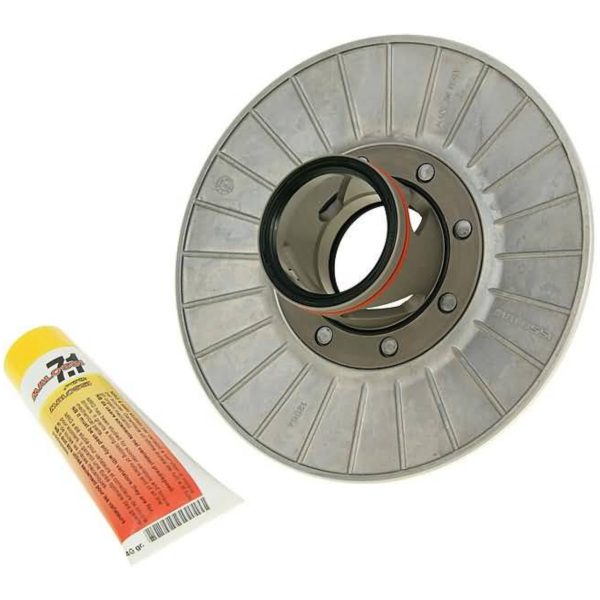 Kupplung Wandlerscheibe Malossi Torque Driver für Piaggio 200, 250, 300ccm 4-Takt M.6112563 passend für Benelli Adiva  250 AD 2006, 