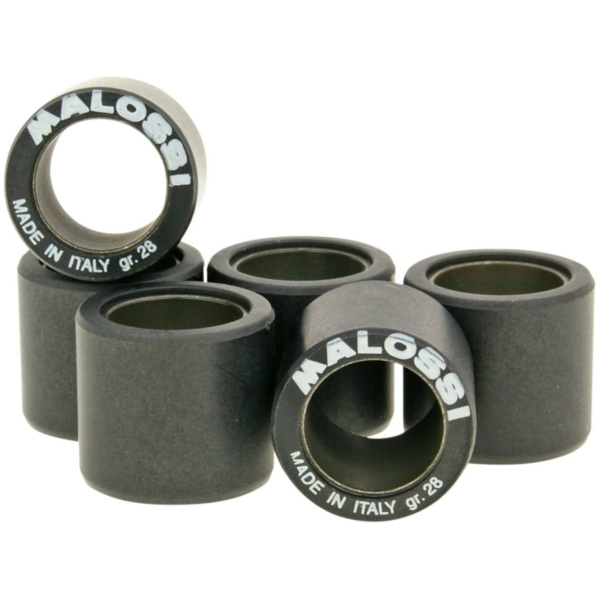 Variorollen Variomatikgewichte Malossi HT 25x22mm - 24,0g M.6613968B