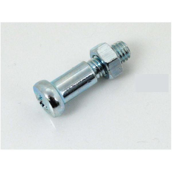 Retaining screw 1 piece shaft 6mm thread M5 length approx. 10mm for Zündapp GTS