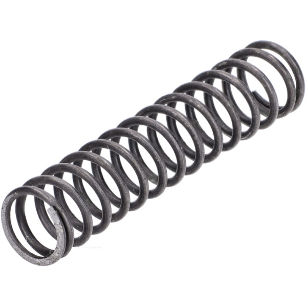 Feder für Bing Vergaser Typ 81 für Hercules Saxonette, Spartamet MG00067173