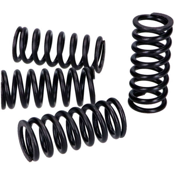 clutch spring set Top Performances for Yamaha YZF, WR 125, YI-3, Fantic, Beta, Rieju, Husqvarna MIN-42486