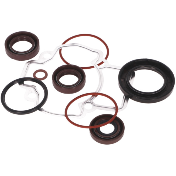 Dichtsatz Motor Dichtungssatz OEM für Aprilia Scarabeo, Gilera Stalker, Piaggio Liberty, Fly 50ccm 2T PI-494579