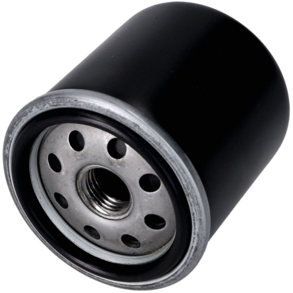 Ölfilter für Maxi-Roller 4-Takt Piaggio-Motor VC25755 passend für Gilera Runner Soul Modelle 125 M46301 2012, 15 PS, 11 kw