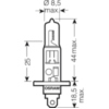 Bulb  H1 12V55W_2