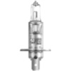 Bulb h1 12v55w 1 blister_1