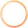 Seal ring oelablasss 128503_1