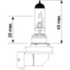 Lampe H11 12V55W JMP_1