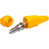 Spare spark plug Holder_1