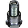 Spark plug ngk b8eg_1