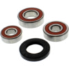 Wheel bearing and seal kit WBK349_1