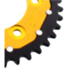 Rear sprocket dua 39 tooth pitch 520 gold ZFD73539GLD_1