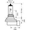 Lampe H8 12V35W_1