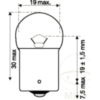 LAMPE 6V5W JMP_1