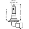 Bulb hb4 12v51w_1